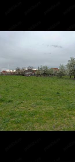 Teren de 4138 mp, în Babșa