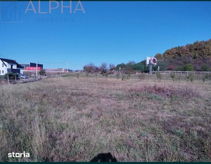 Teren de 12300 mp, în Șcheia