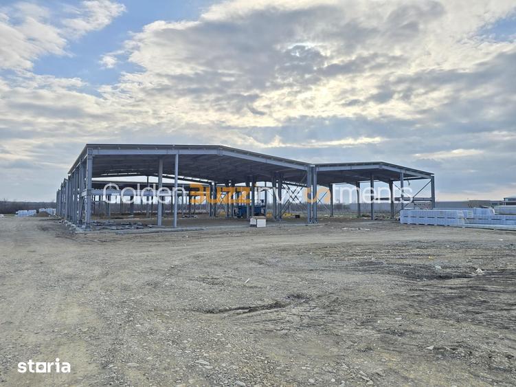 Spațiu comercial, de 9,000 mp, în Găneasa