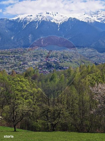 Ocazie! Teren 2885 mp Bran- Predelut / Strada Pe Tarina nr. 70A - 13