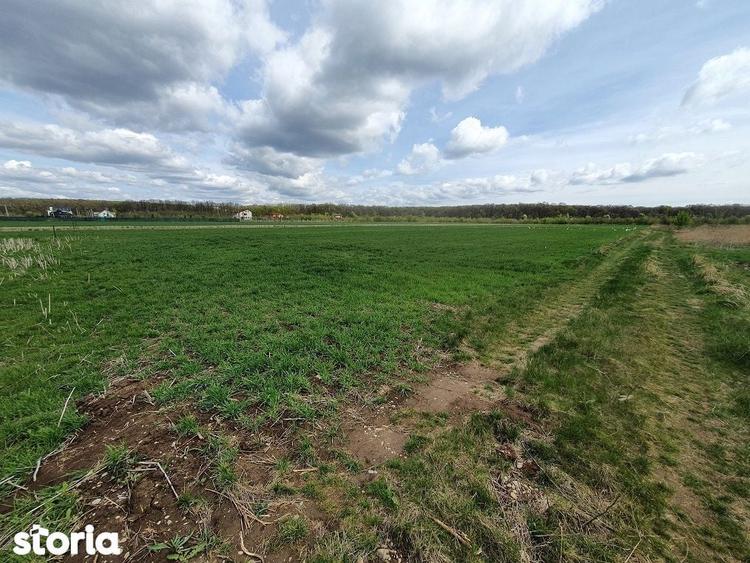 Teren de 800 mp, în Balotești