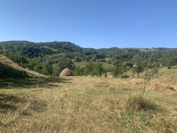 Teren de 12000 mp, în Chiojdeni