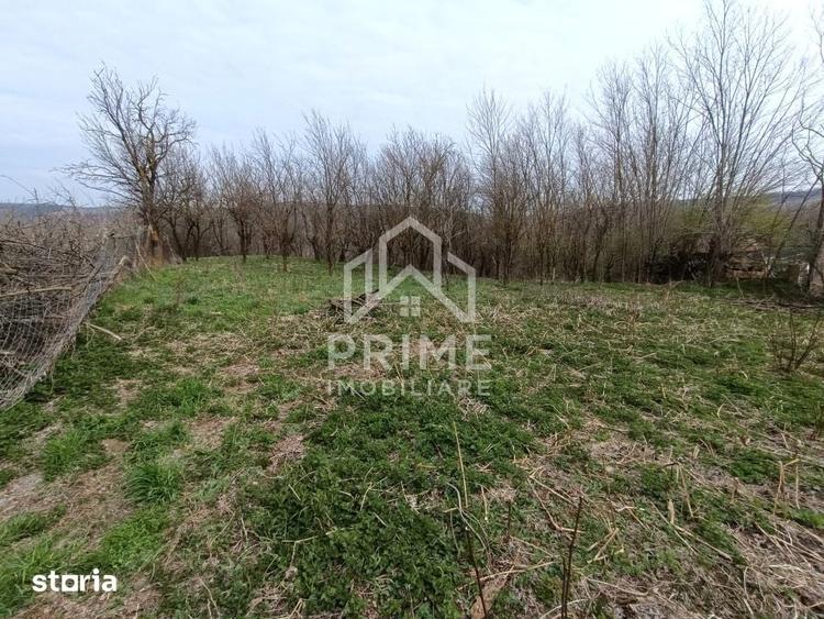 Teren de 1295 mp, în Berghin