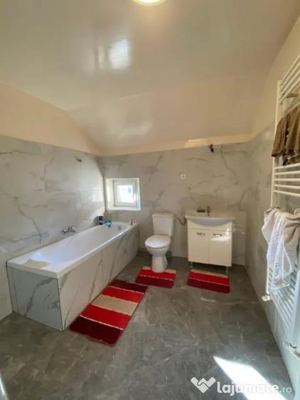 Casă cu 5 camere cu Teren 6880 Mp în Tămaia