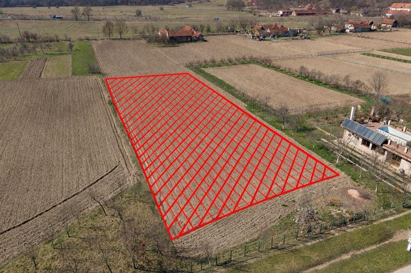 Teren Construcții intravilan de 2970 mp, în Odvoș