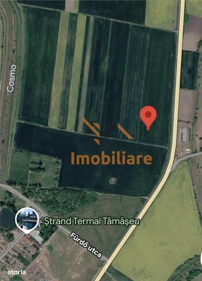 Spațiu comercial, în Tămășeu