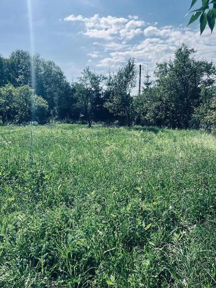 Teren de vanzare in aduna?i - 1