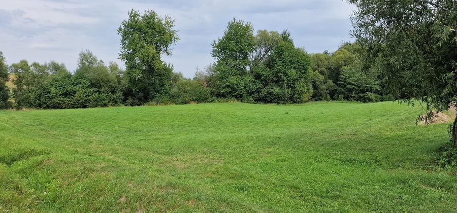 Teren de 5100 mp, în Horodnic