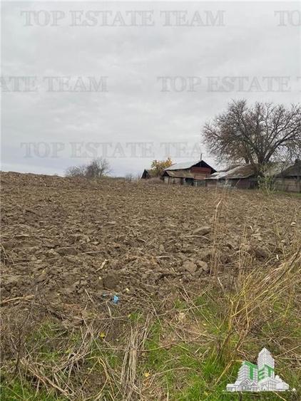 Teren Construcții intravilan de 12223 mp, în Berceni