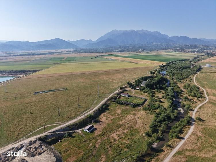 Casă cu 3 camere în Central