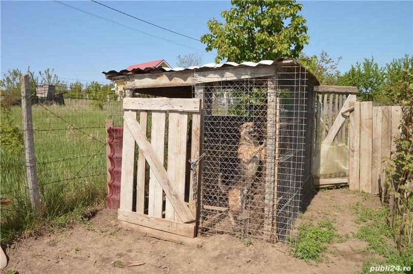 Casă cu 10 camere cu Teren 1278 Mp în Horpaz