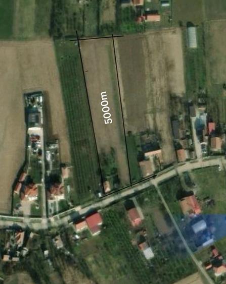 Teren de 5000 mp, în Leș