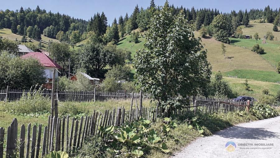 Teren intravilan de 716 mp, în Poiana Teiului