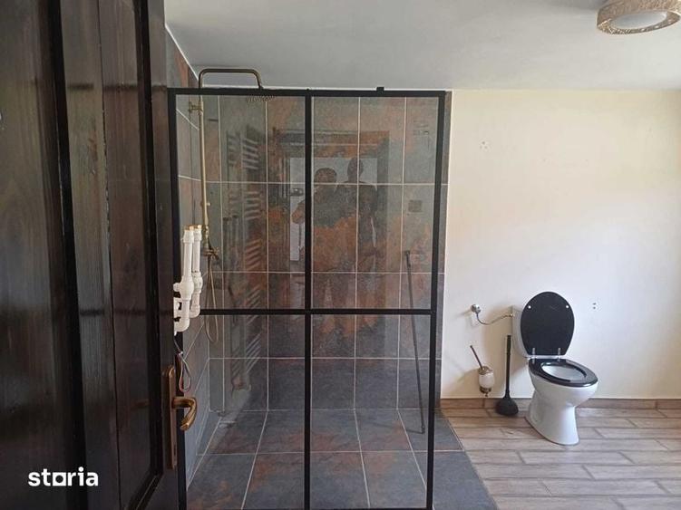 Teren+ casa+ anexe, Leheceni, Bihor - 7