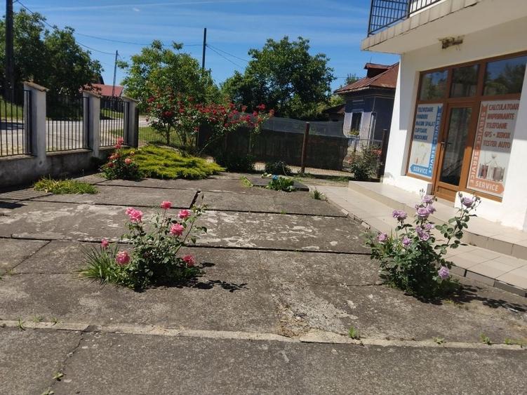 Spațiu comercial, în Soceni