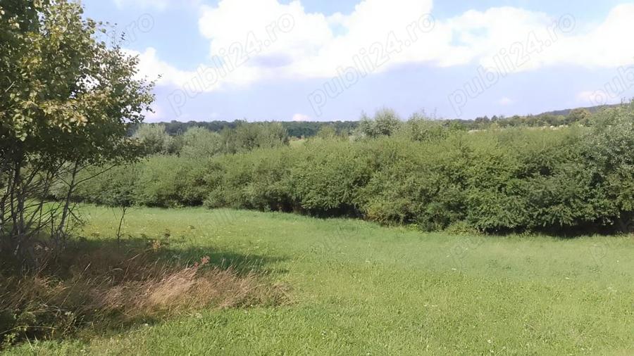 Teren de 4400 mp, în Mitocu Dragomirnei