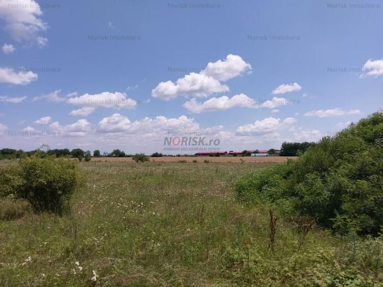 Teren agricol extravilan de 10000 mp, în Frumușani