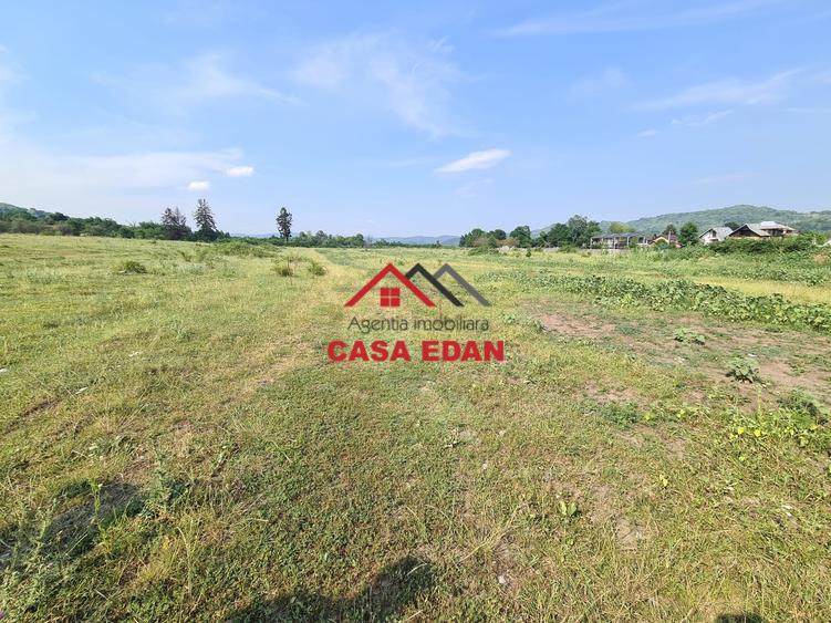 Teren Construcții intravilan de 7500 mp, în Câmpina