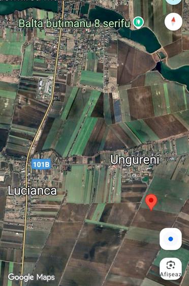 Teren agricol extravilan de 7500 mp, în Ungureni (Butimanu)