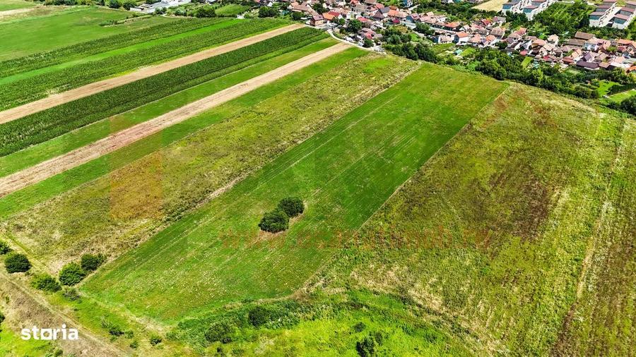 Teren Intravilan, 3343 mp, deschidere la 2strazi, plan drept |SkyView - 4