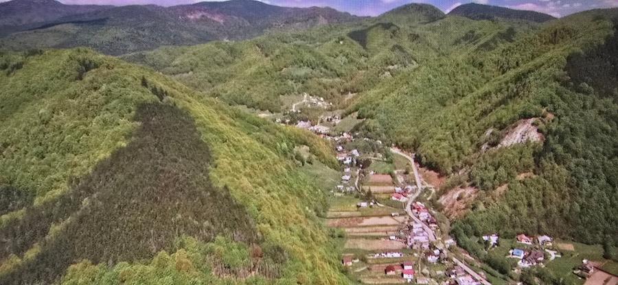 Teren agricol extravilan de 57000 mp, în Lepșa