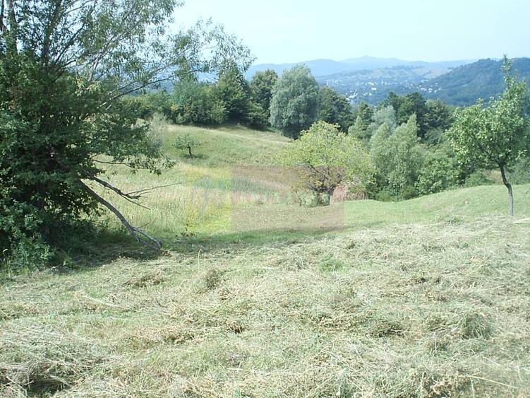 Teren agricol extravilan de 4404 mp, în Telega