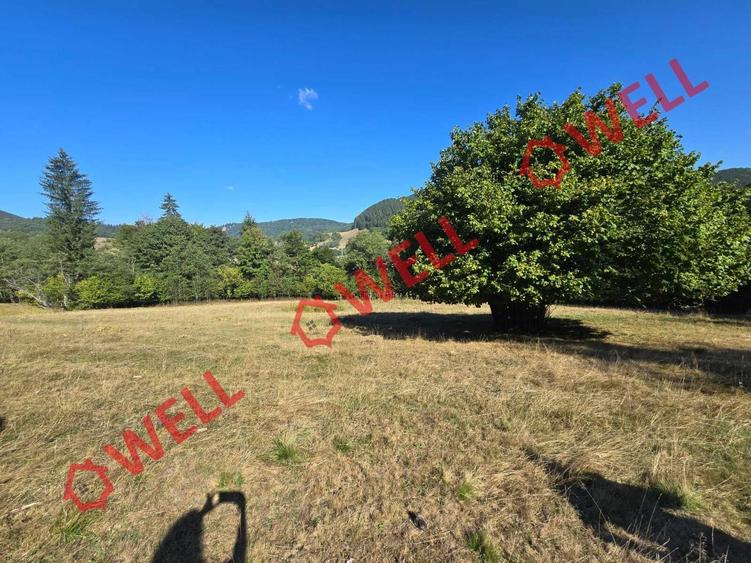 Teren extravilan de 7766 mp, în Dălghiu