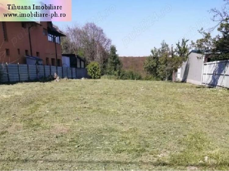 Teren Construcții intravilan de 1700 mp, în Cocoșești