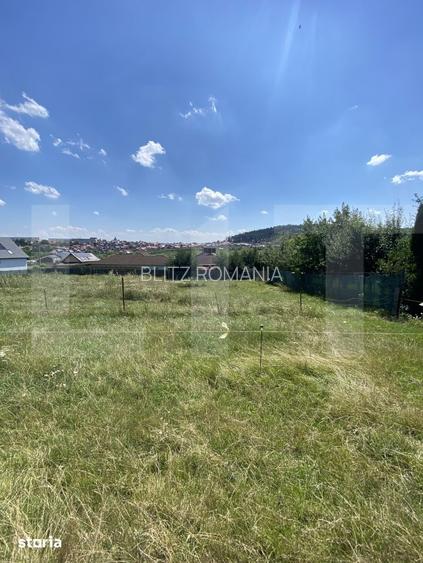 Teren intravilan de vanzare, 611 mp Strada Borviz