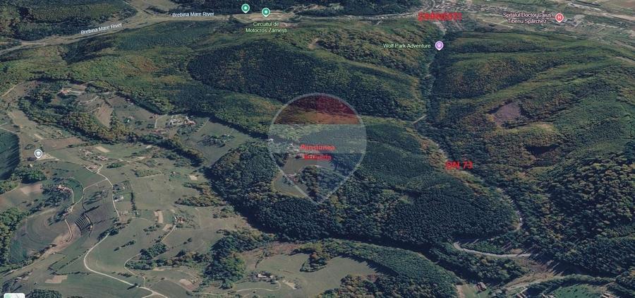 Teren agricol extravilan de 23495 mp, în Poiana Mărului