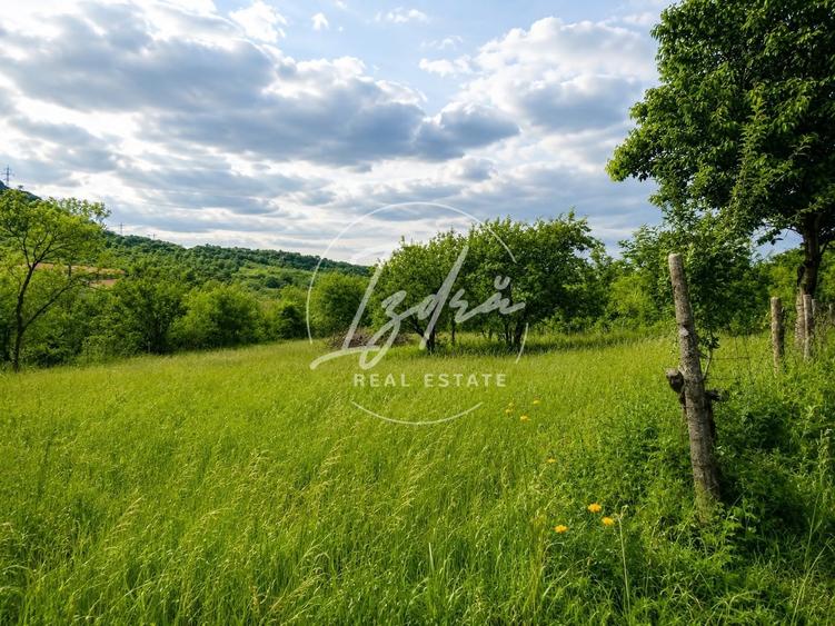 Teren agricol extravilan de 814 mp, în Tălmaciu