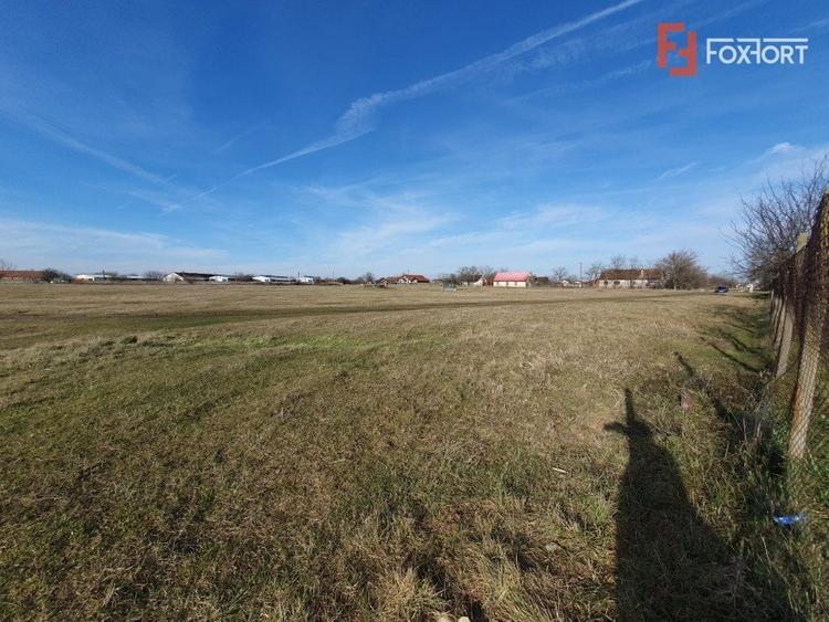 Teren Construcții intravilan de 6400 mp, în Pădureni (Jebel)