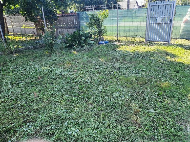 Teren de 1000 mp, în Poienarii Burchii