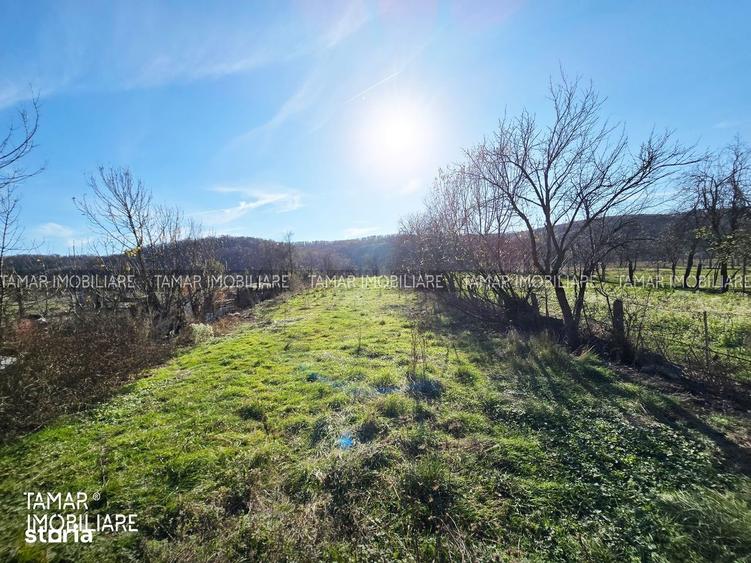 Casă cu 4 camere în Archiș