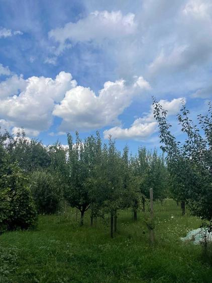 Casă cu 4 camere în Cuci