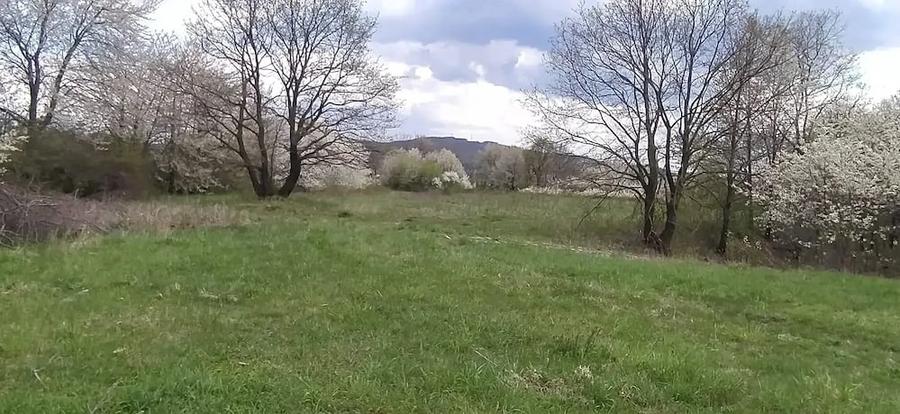 Teren de 5000 mp, în Central