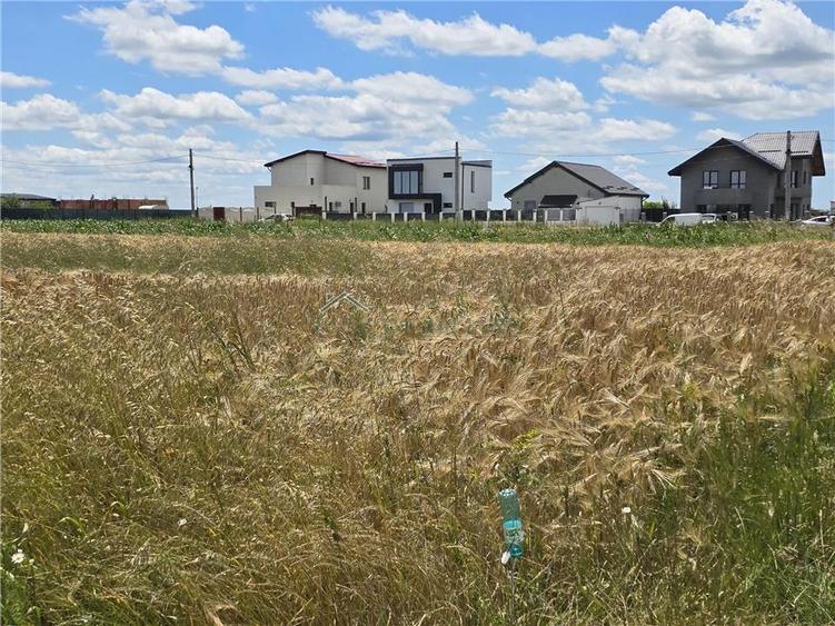 Teren agricol extravilan de 5000 mp, în Berceni