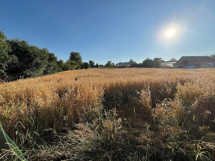 Teren de 1500 mp, în Mitocu Dragomirnei