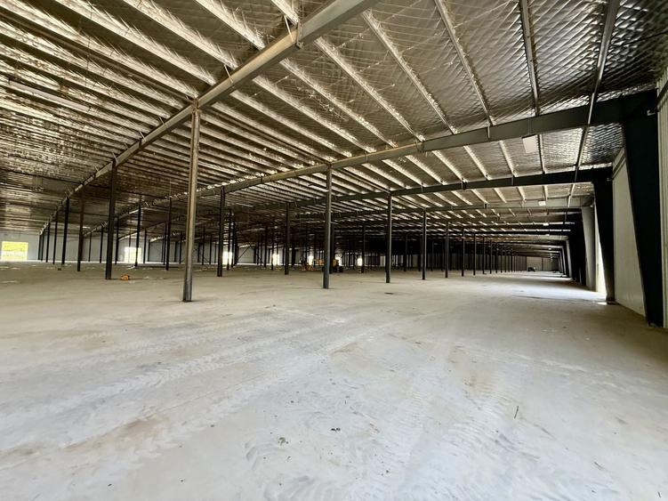 Spațiu industrial, de 16,000 mp, în Afumați