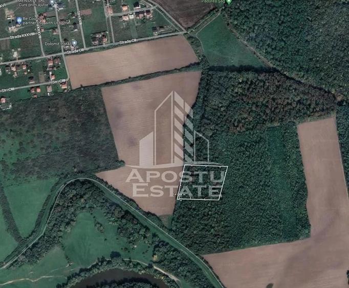 Teren de 10000 mp, în Șag