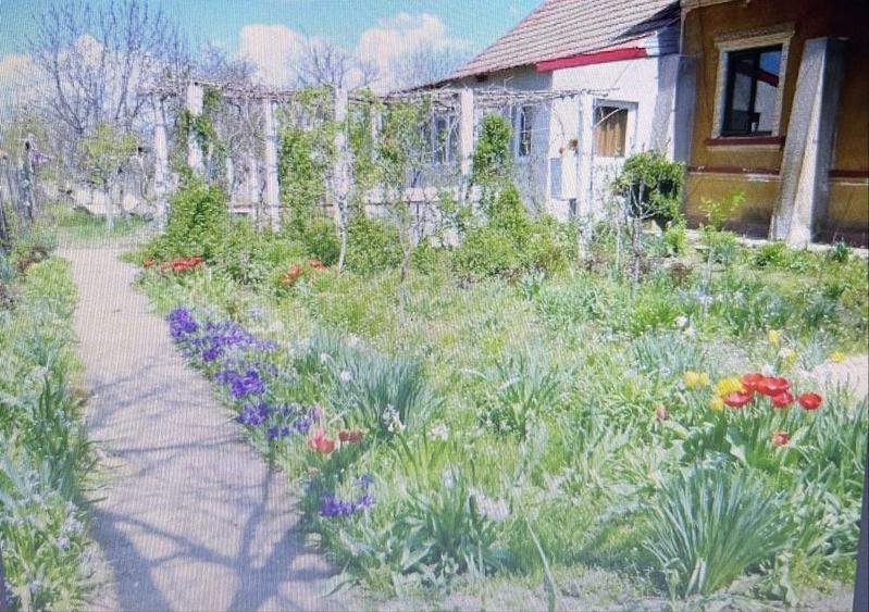 Casă cu 4 camere în Conțești