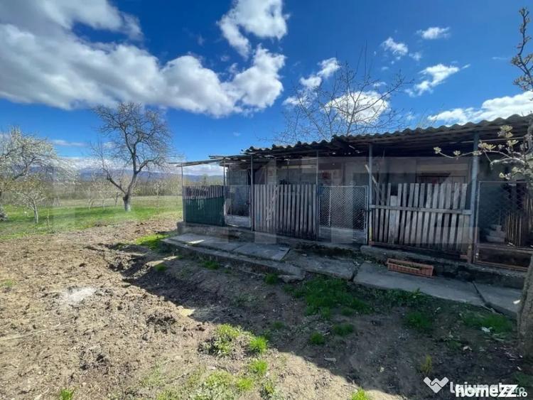 Casă cu 3 camere cu Teren 3000 Mp în Central