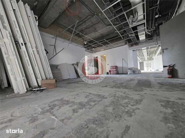 Spațiu comercial, de 739 mp, în Cișmigiu