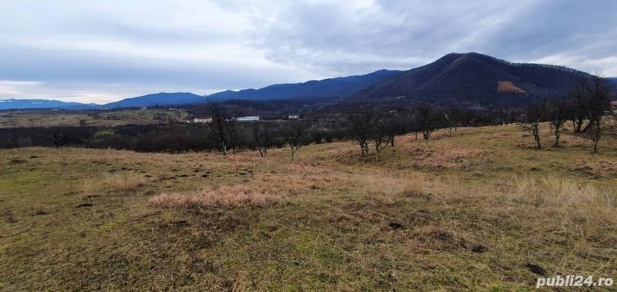 Teren de 1255 mp, în Cisnădioara