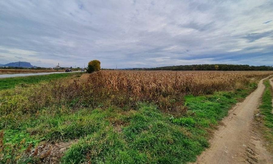 Teren agricol intravilan de 11791 mp, în Sântandrei