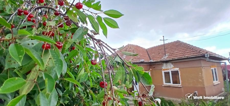 Casă individuală cu 3 camere cu Canalizare în Dângău Mare