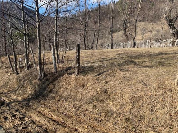 Teren Nehoiu, pentru cabană offgrid sau glamping