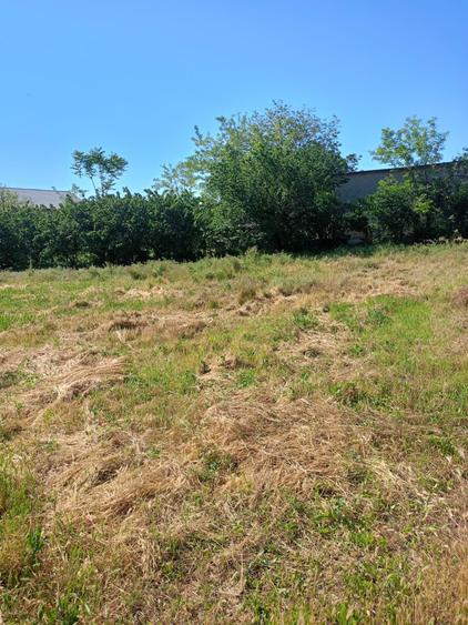 Casă cu 4 camere în Schela