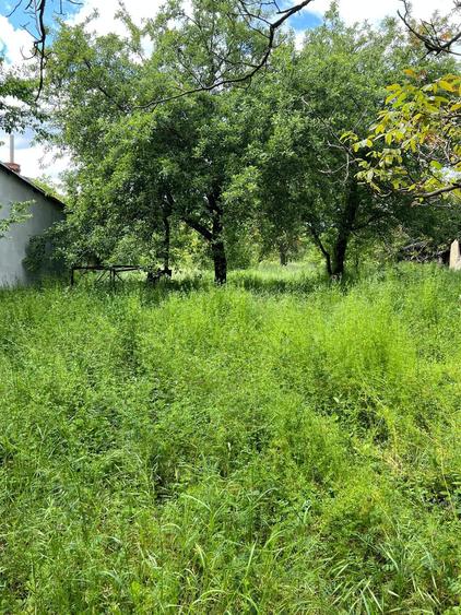 Casă individuală cu 4 camere cu Teren 2500 Mp în Șirna