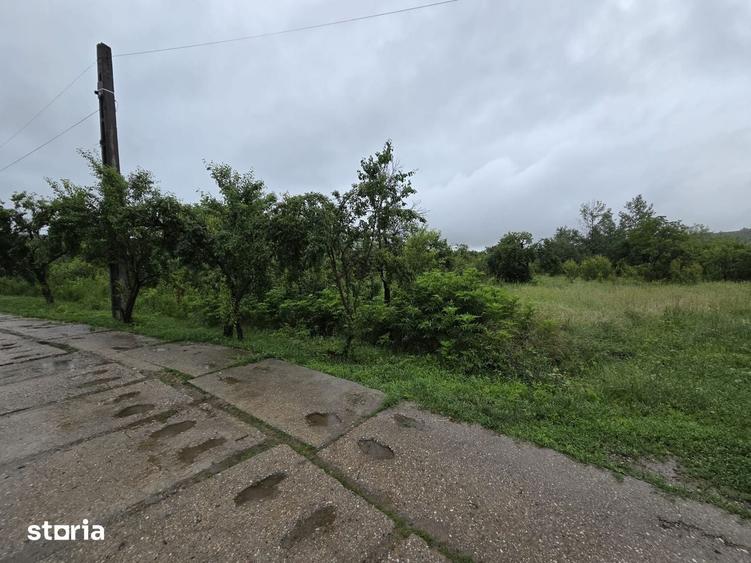 Teren de 1100 mp, în Gura Ocniței